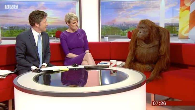 808px x 455px - â€‹BBC Breakfast Hosts Unusual Guest, A Robot Orangutan - LADbible