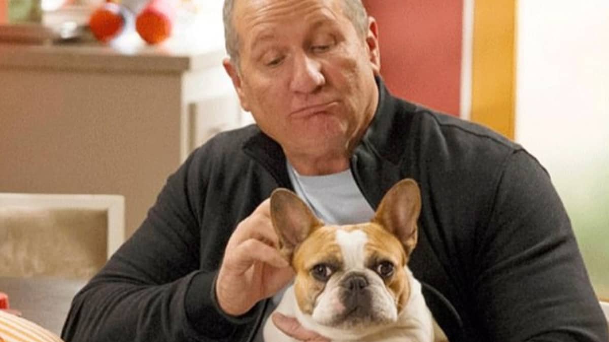 Dog Who Plays Modern Family S Stella Has Died Ladbible