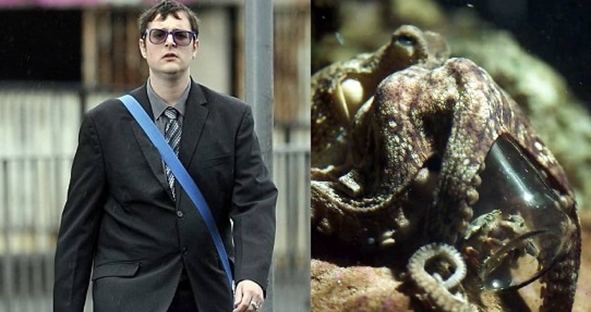Octopus Sex With Girl - Man Admits To The Possesion Of Extreme Porn Showing Woman Having Sex With  Octopus - LADbible