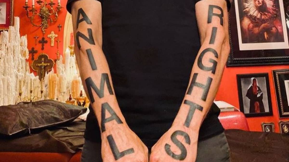 Singer Moby Makes Huge Animal Rights Tattoos Even Bolder Ladbible