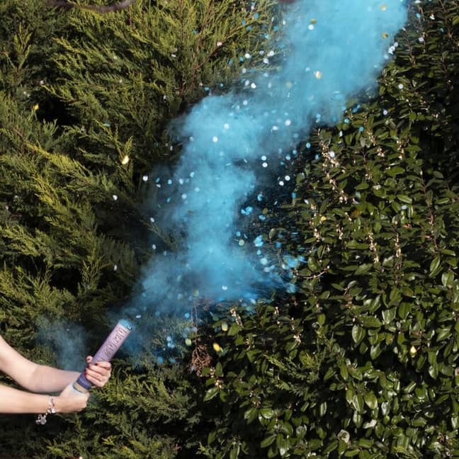 Gender Reveal Party Sparked California Wildfire Ladbible 0105