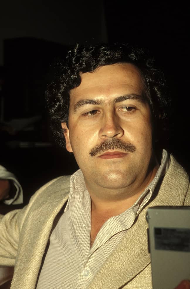 The True Story Behind Pablo Escobar S Smile In Only Mugshot