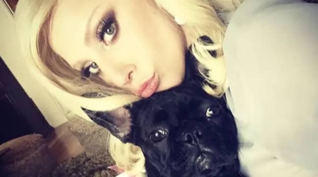 Lady Gaga Dognapping Woman Who Returned Dogs Is Charged