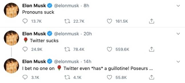 Grimes Calls Out Partner Elon Musk For Pronouns Suck Tweet Ladbible