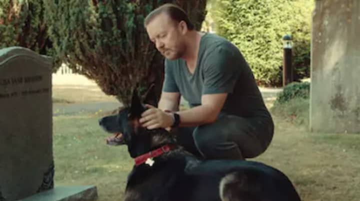 Ricky Gervais Thanks Fans As After Life Season Two Is Flooded With 10/10  Reviews - LADbible