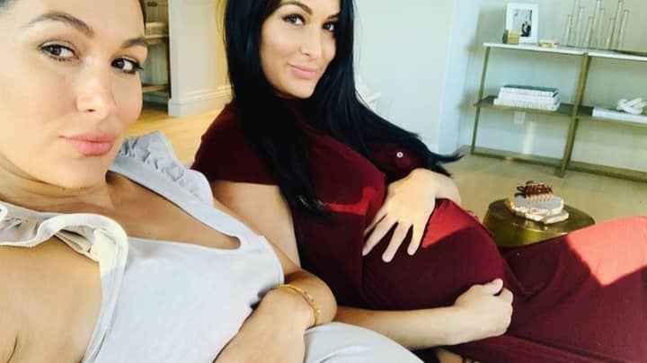 Twins Nikki And Brie Bella Give Birth One Day Apart.