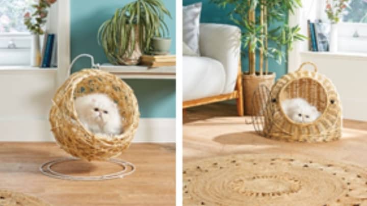 Aldi Now Selling Hanging Egg Chair For Cats