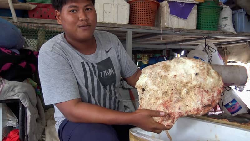 Fisherman finds piece of whale vomit worth £ 171,000