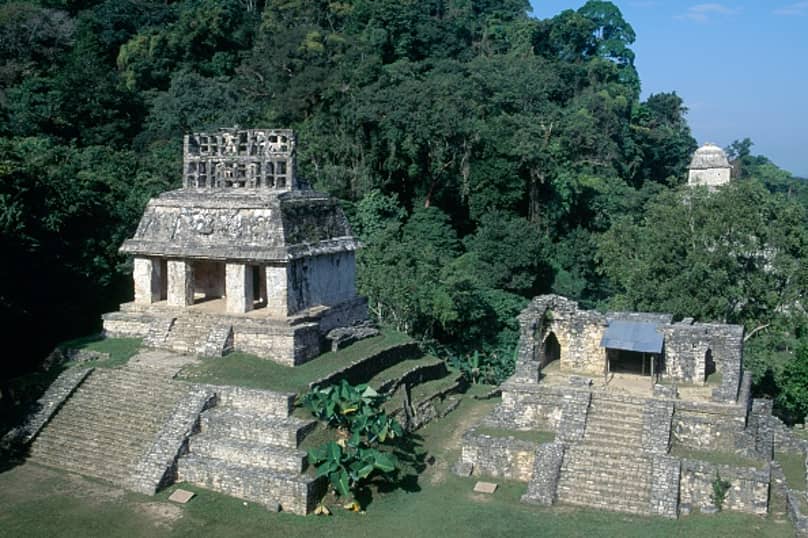 15 Year Old Lad Discovers Lost Ancient Mayan Civilisation Archaelogists Couldn T Find Ladbible